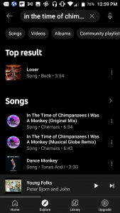 YouTube Music Search