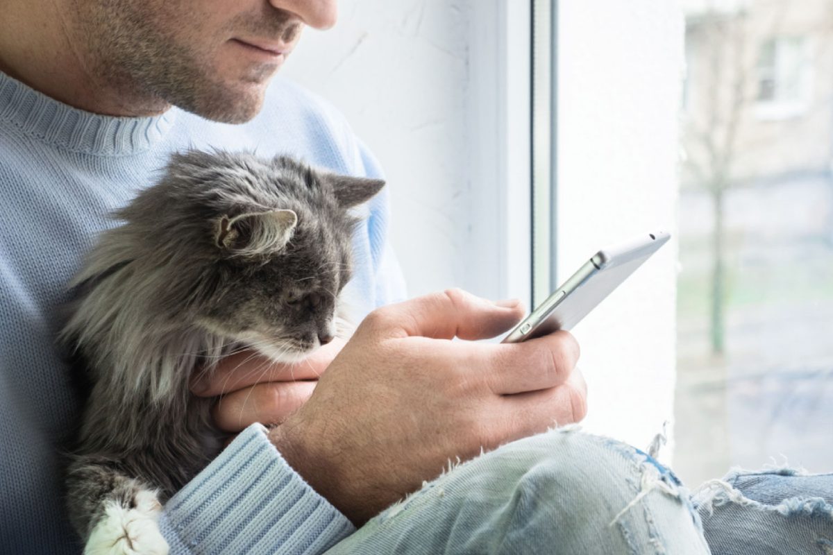 How to Get a Lower Monthly Bill for Your Phone