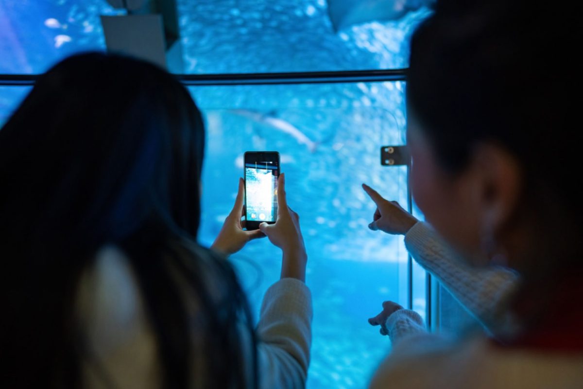 5G Coverage and What It Means for Your Phone